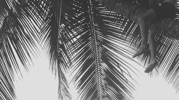 Quelles techniques pour préparer des plats à base de noix de coco dans un restaurant exotique ?