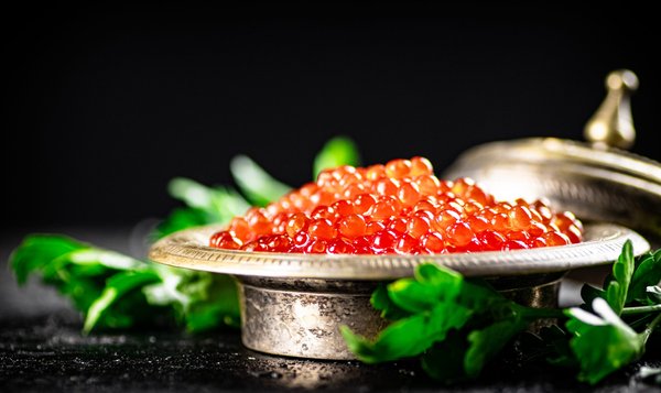Rencontre avec les producteurs de caviar d'aquitaine