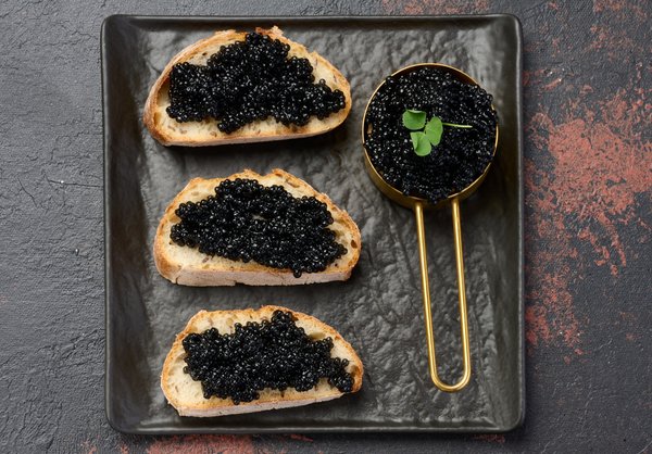 Découverte des meilleurs producteurs de caviar d'aquitaine